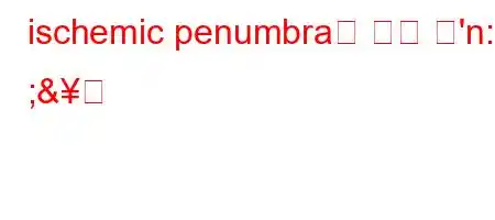 ischemic penumbra은 무슨 뜻'n: ;&